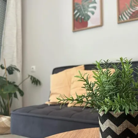 G&s Cosy * فولوس